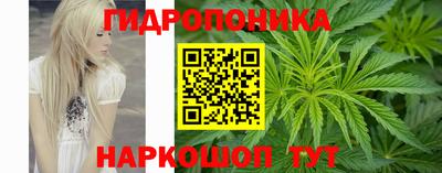 стафф Мариинск