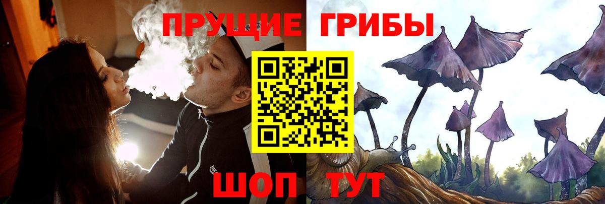 Галлюциногенные грибы GOLDEN TEACHER Барабинск